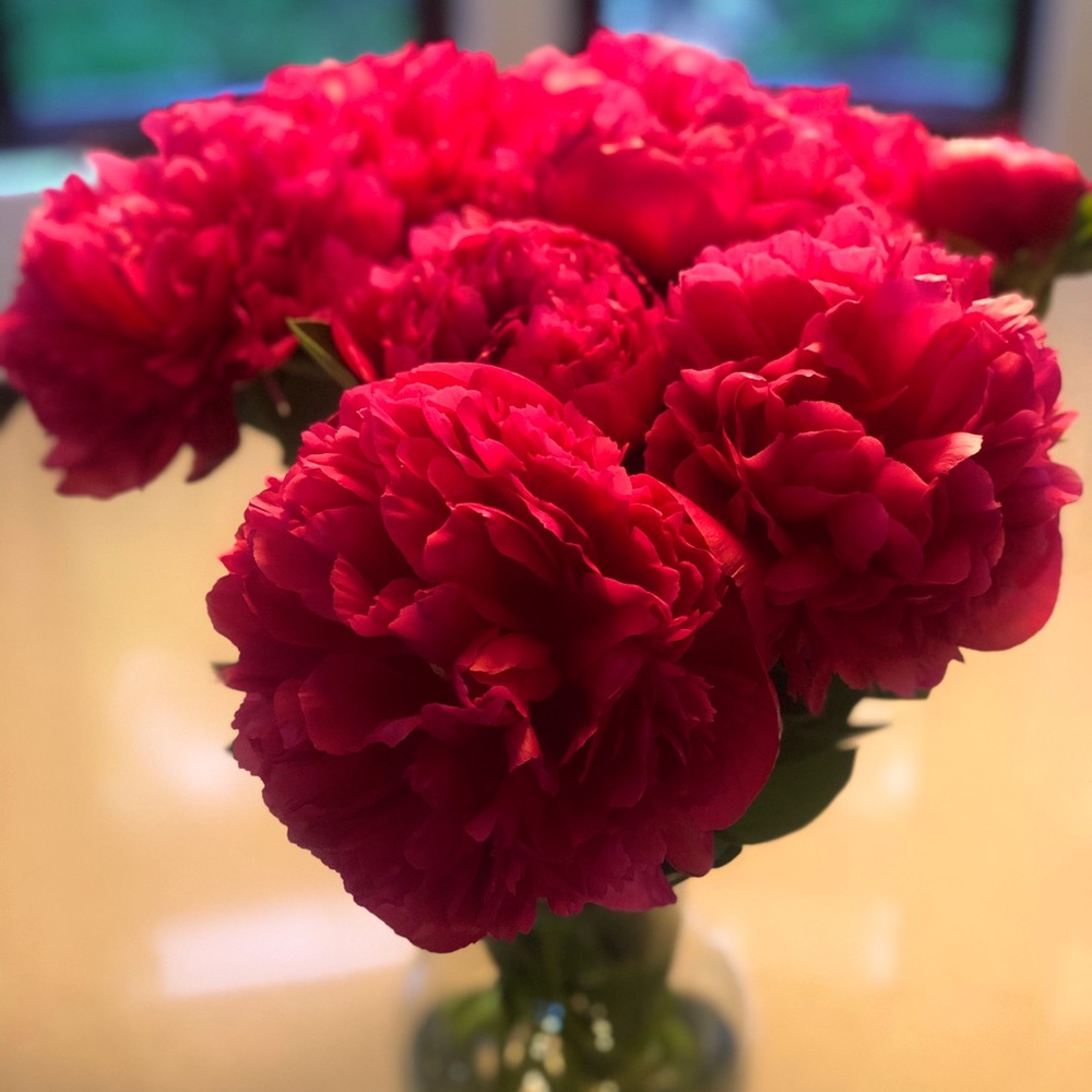 Meet your Posher, Samantha